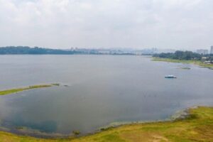 Reprodução | Google