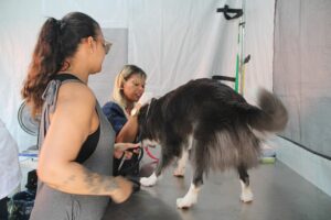 Divulgação | Secom | PMTS