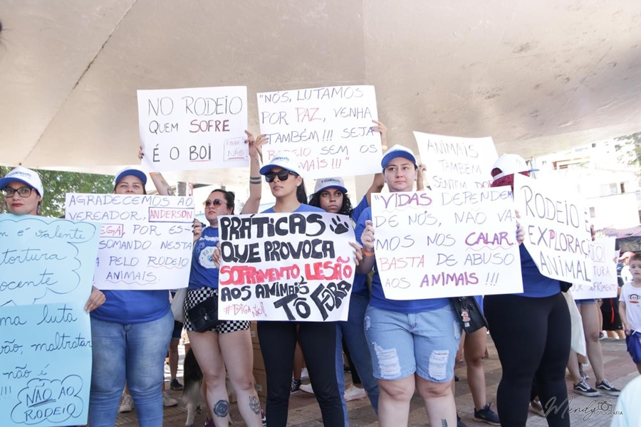 A Crueldade Contra Animais Viraliza… Mas a Justiça Nunca Chega