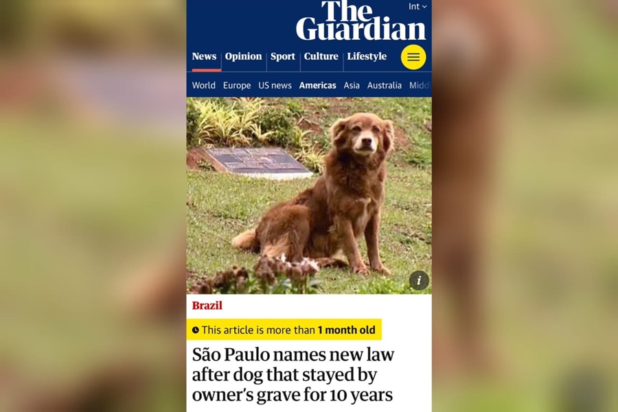 Lei criada pelo Deputado Eduardo Nóbrega ganha repercussão internacional e vira destaque em grandes veículos de imprensa